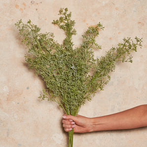 Eucalyptus Seeding Spray Real Touch Flower Stem