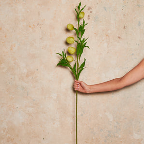 Milk Weed Real Touch Flower Stem