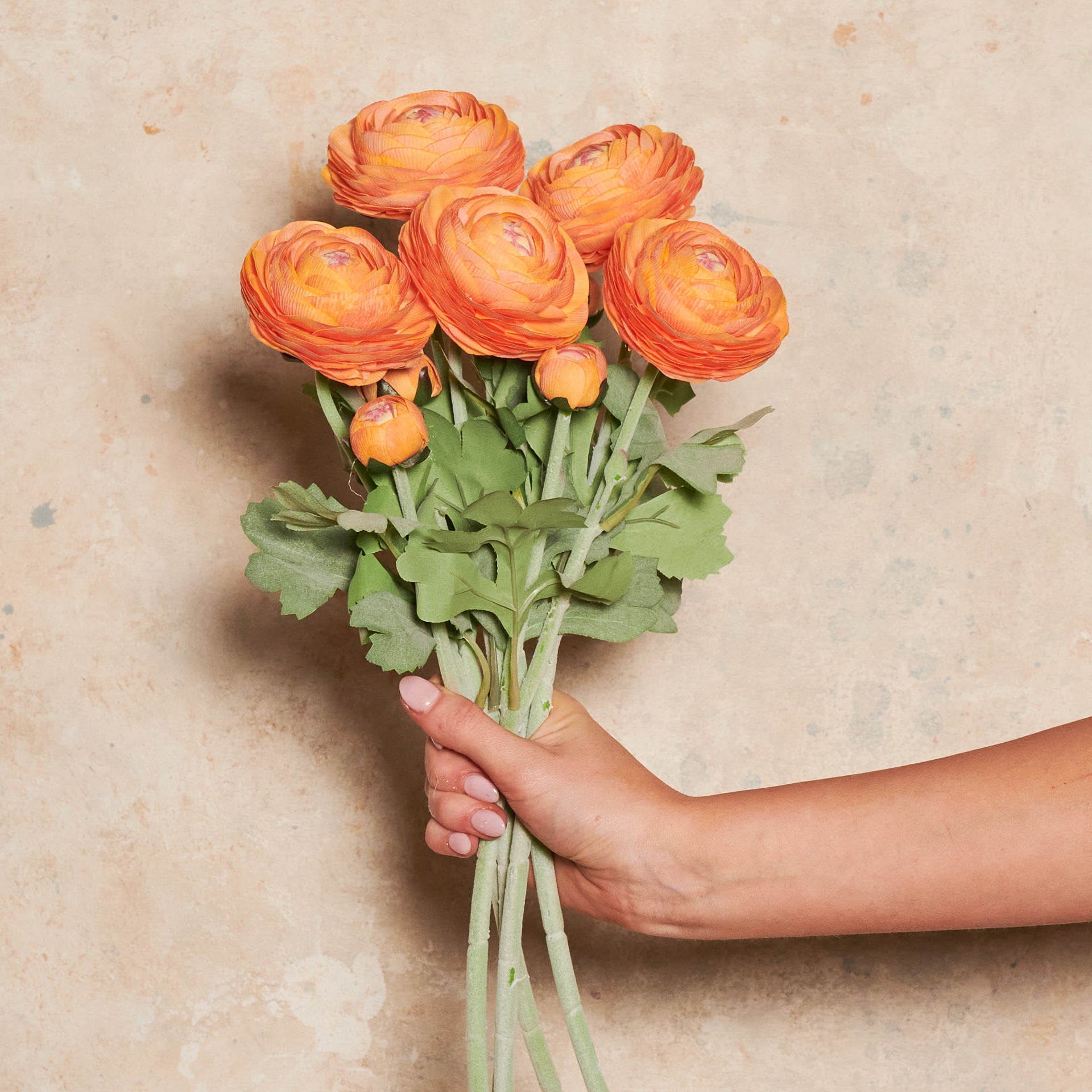 Ranunculus Real Touch Flower Stem