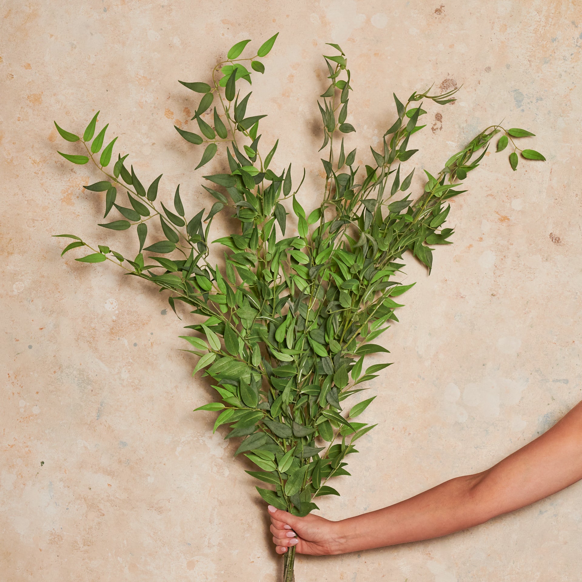 Ruscus Types Artificial Italian Ruscus Spray Real Touch Stem