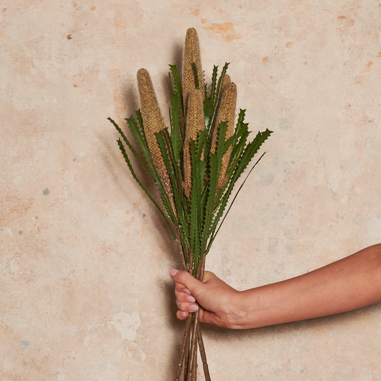 Cone Banksia Real Touch Flower Stem