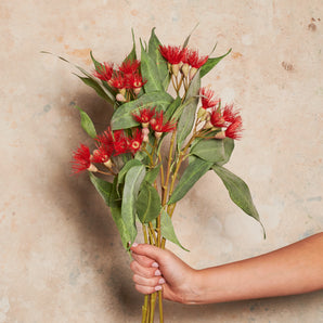 Eucalyptus Flowering Pod Real Touch Flower Stem