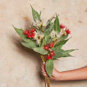 Eucalyptus Flowering Pod Real Touch Flower Stem