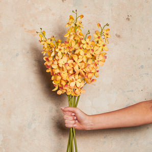 Orchid Vanda Real Touch Flower Stem