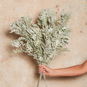 Dusty Miller Spray Real Touch Stem