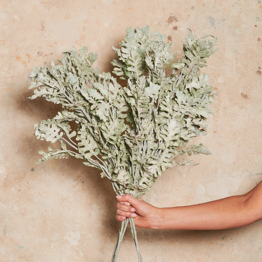 Dusty Miller Spray Real Touch Stem