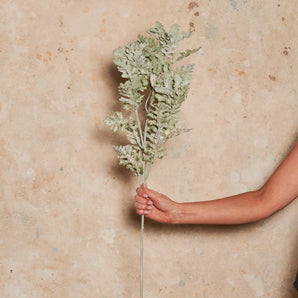 Dusty Miller Spray Real Touch Stem
