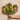 Banksia Spray Real Touch Flower Stem