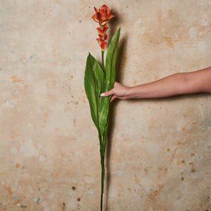 Ginger Flower Real Touch Stem