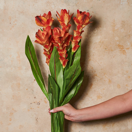 Ginger Flower Real Touch Stem