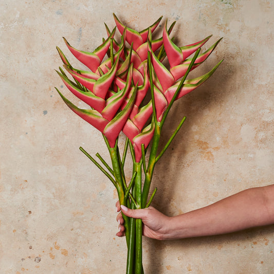 Heliconia Real Touch Flower Stem