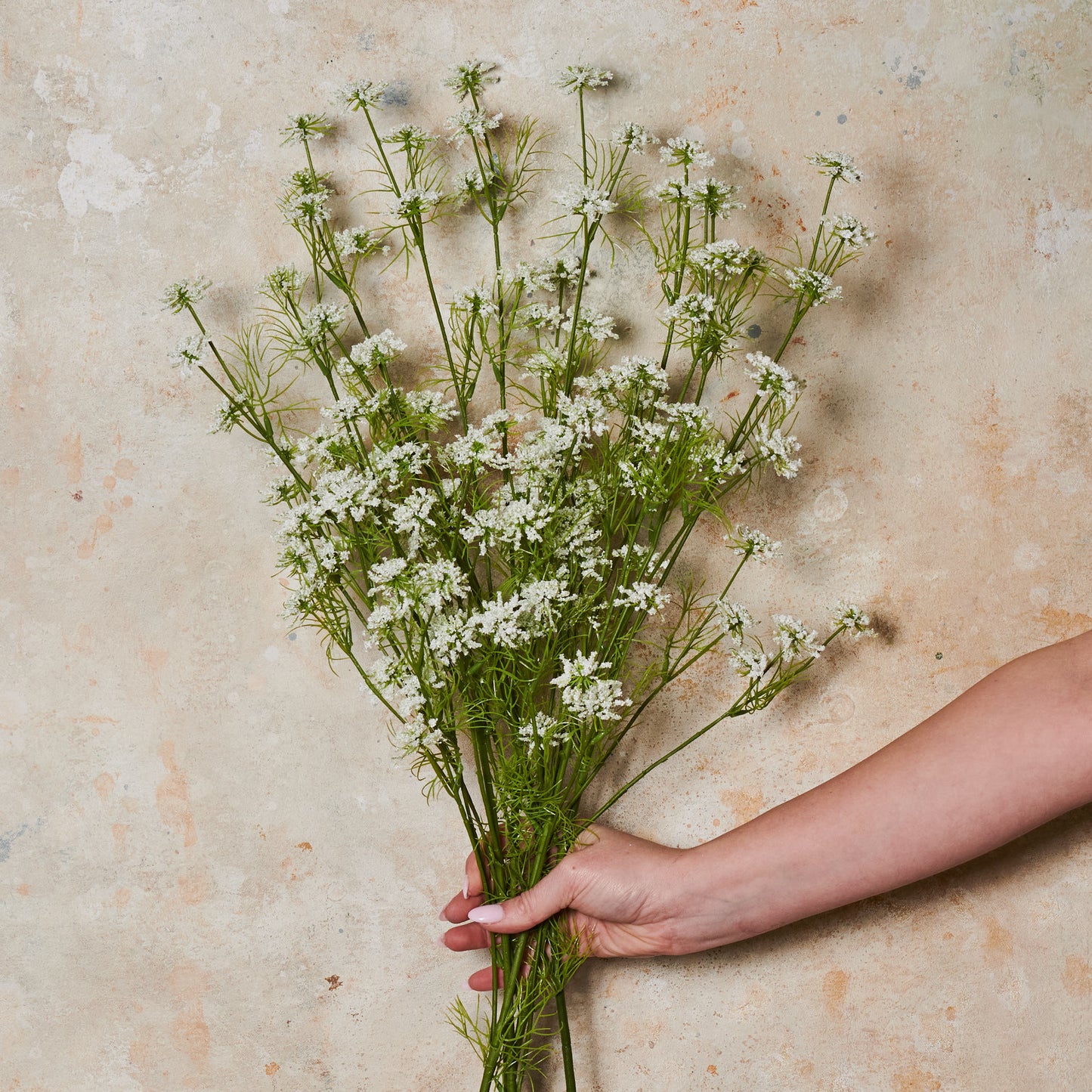 Wild Queen Annes Lace Real Touch Flower Stem