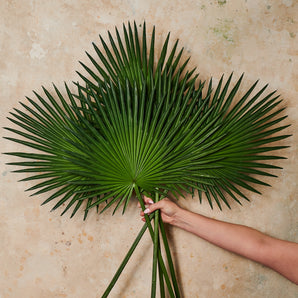 Palm Fan Leaf Real Touch Flower Stem