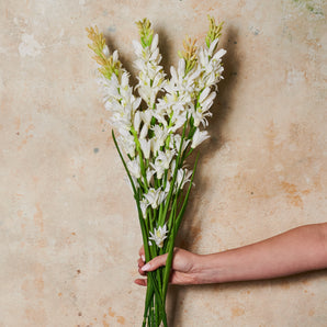 Tuberose Real Touch Flower Stem