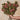 Banksia Spray Real Touch Flower Stem