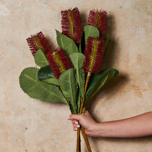 Banksia Robur Real Touch Flower Stem