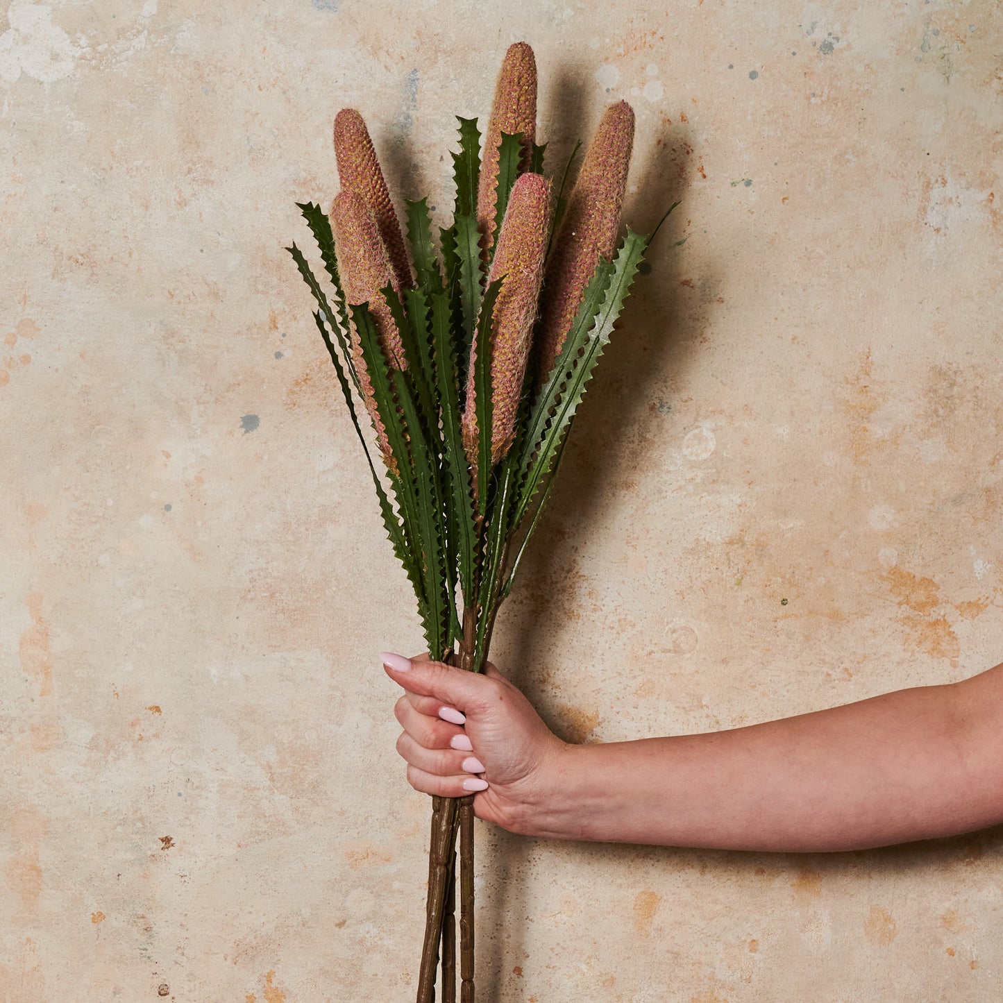 Cone Banksia Real Touch Flower Stem