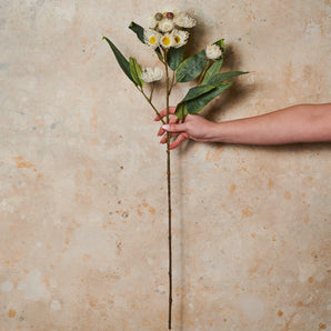 Flowering Eucalyptus Real Touch Flower Stem