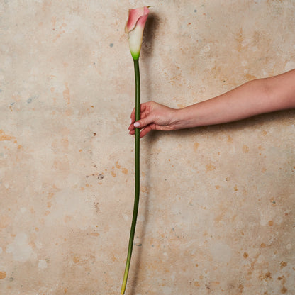 Calla Lily Real Touch Flower Stem