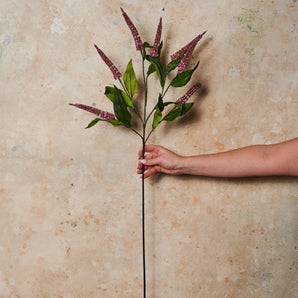 Cascara Berry Spray Real Touch Stem