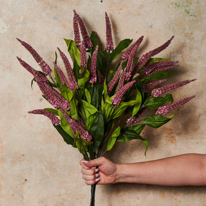 Cascara Berry Spray Real Touch Stem