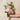 Bridal Sample Pack - 5 Stems