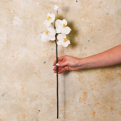 Mini Phalaenopsis Real Touch Flower Stem