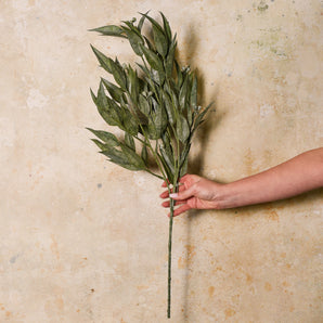 Maggie Seed Pod Eucalyptus Leaf Real Touch Stem