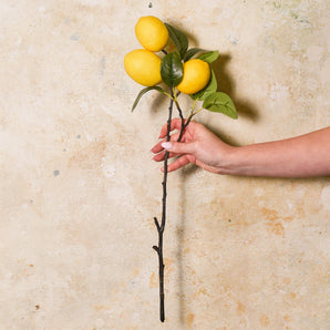 Lemon Real Touch Stem