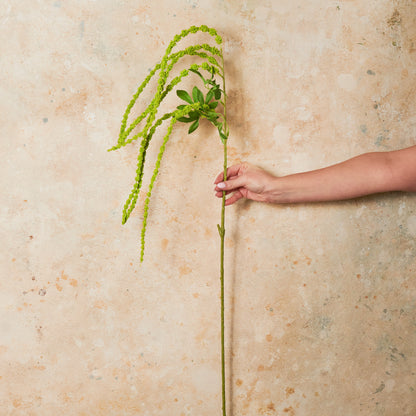 Amaranthus Green Real Touch Flower Stem