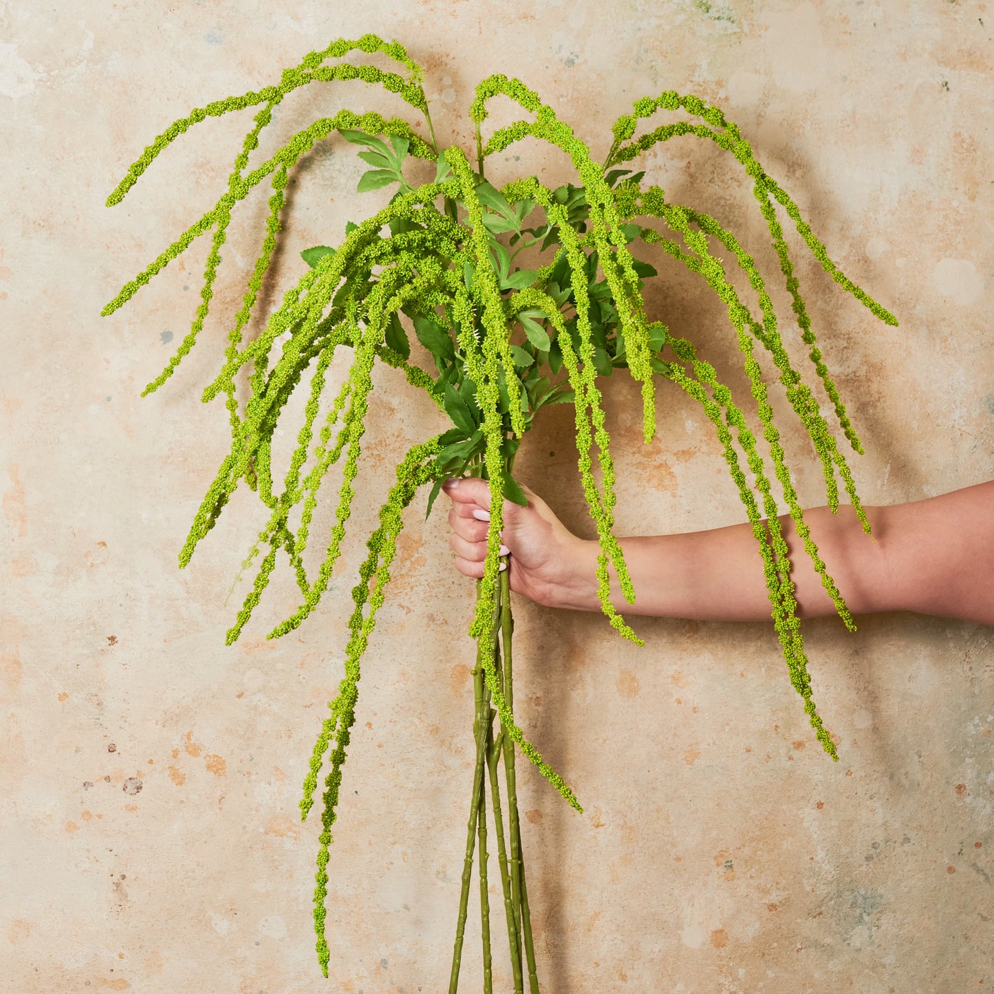 Amaranthus Green Real Touch Flower Stem