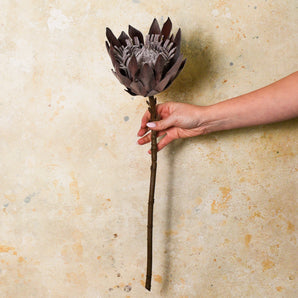 King Protea Camey Real Touch Flower Stem