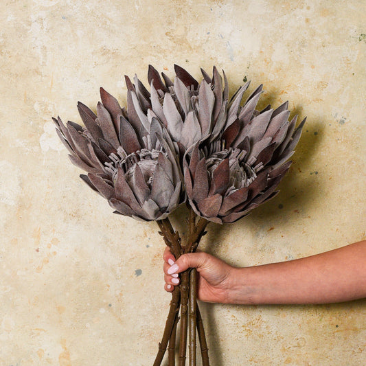 King Protea Camey Real Touch Flower Stem