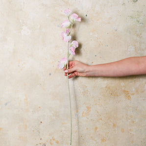 Sweet Pea Real Touch Flower Stem