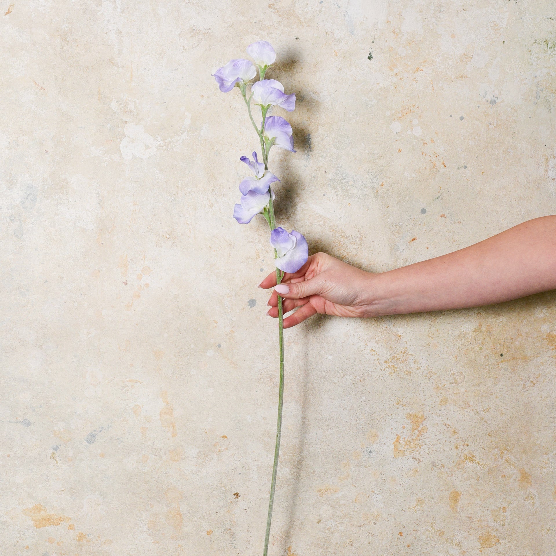 Sweet Pea Real Touch Flower Stem