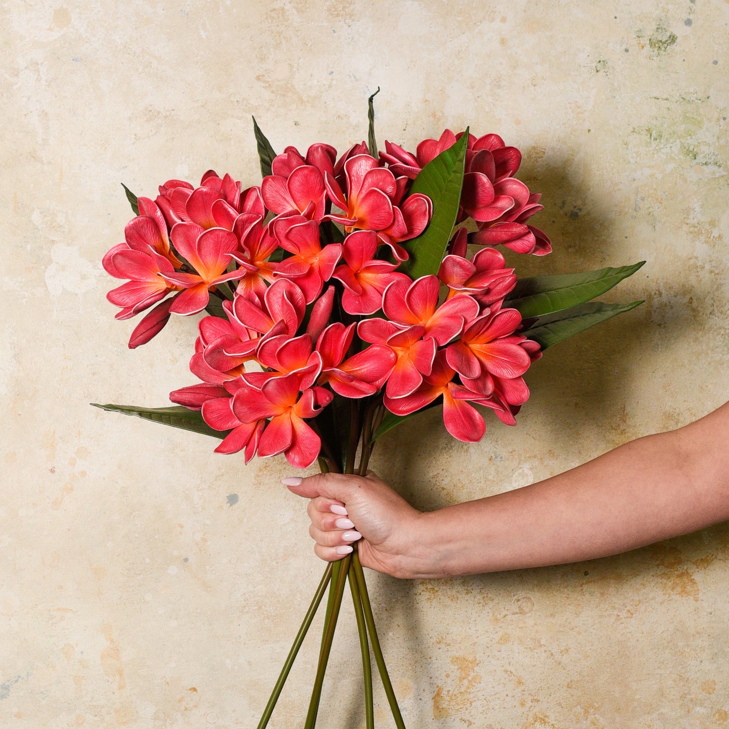 Frangipani Real Touch Flower Stem