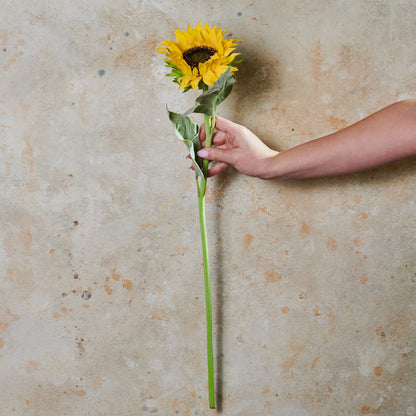 Sunflower Real Touch Flower Stem