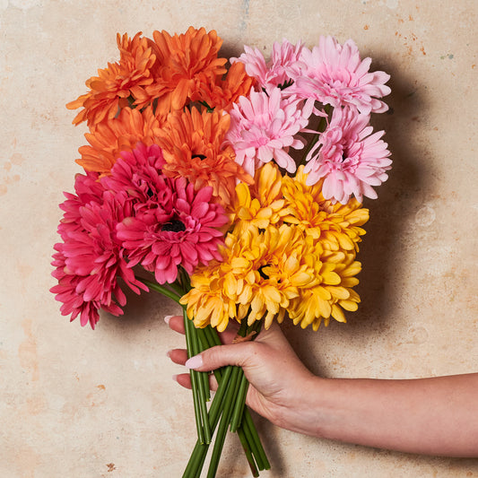 Gerbera Flower Bundle