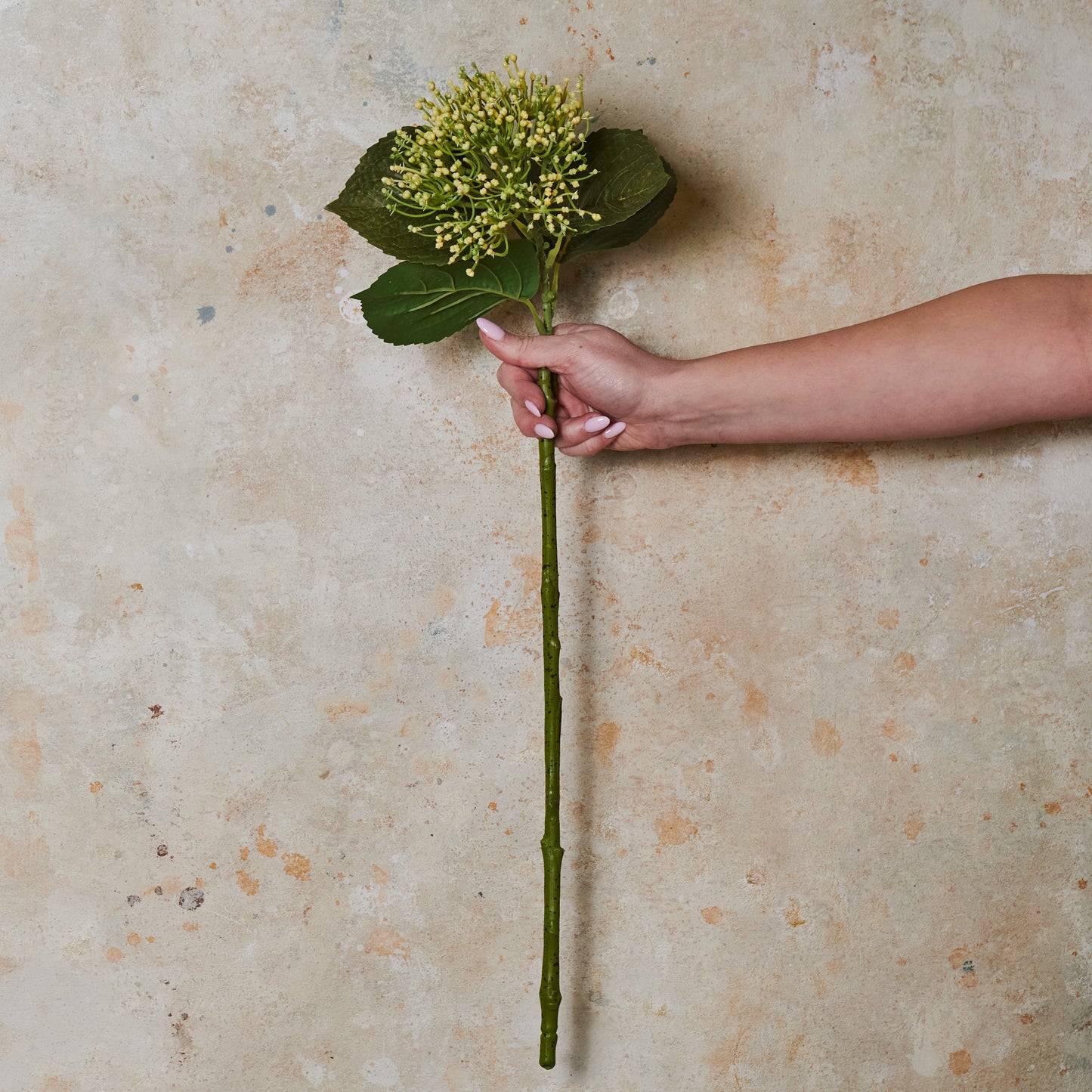 Seeding Hydrangea Real Touch Flower Stem