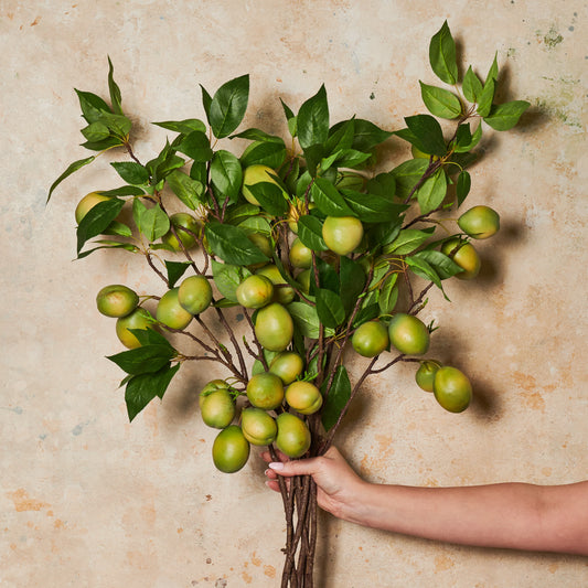 Fruit Branch Real Touch Flower Stem