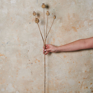 Poppy Seed Spray Real Touch Flower Stem