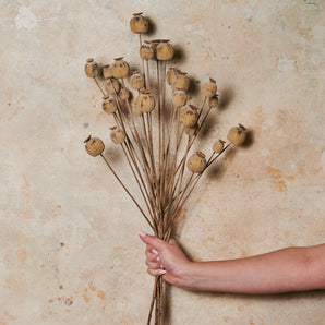 Poppy Seed Spray Real Touch Flower Stem