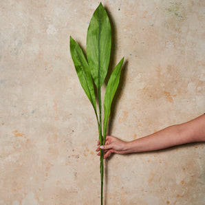Ginger Leaf Spray Real Touch Stem