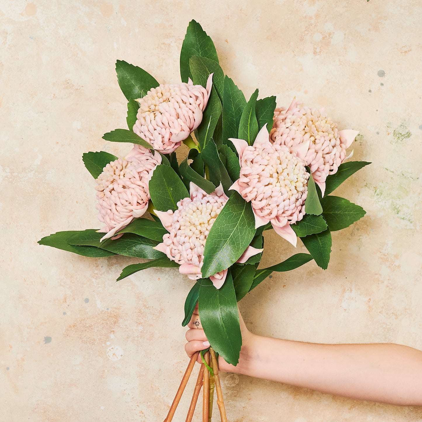 Waratah Real Touch Flower Stem