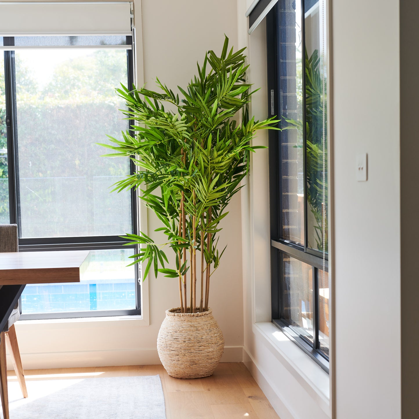 Sloane Bamboo Tree with Wicker Pot