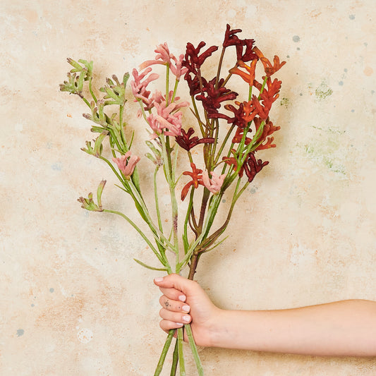 Kangaroo Paw Real Touch Flower Stem