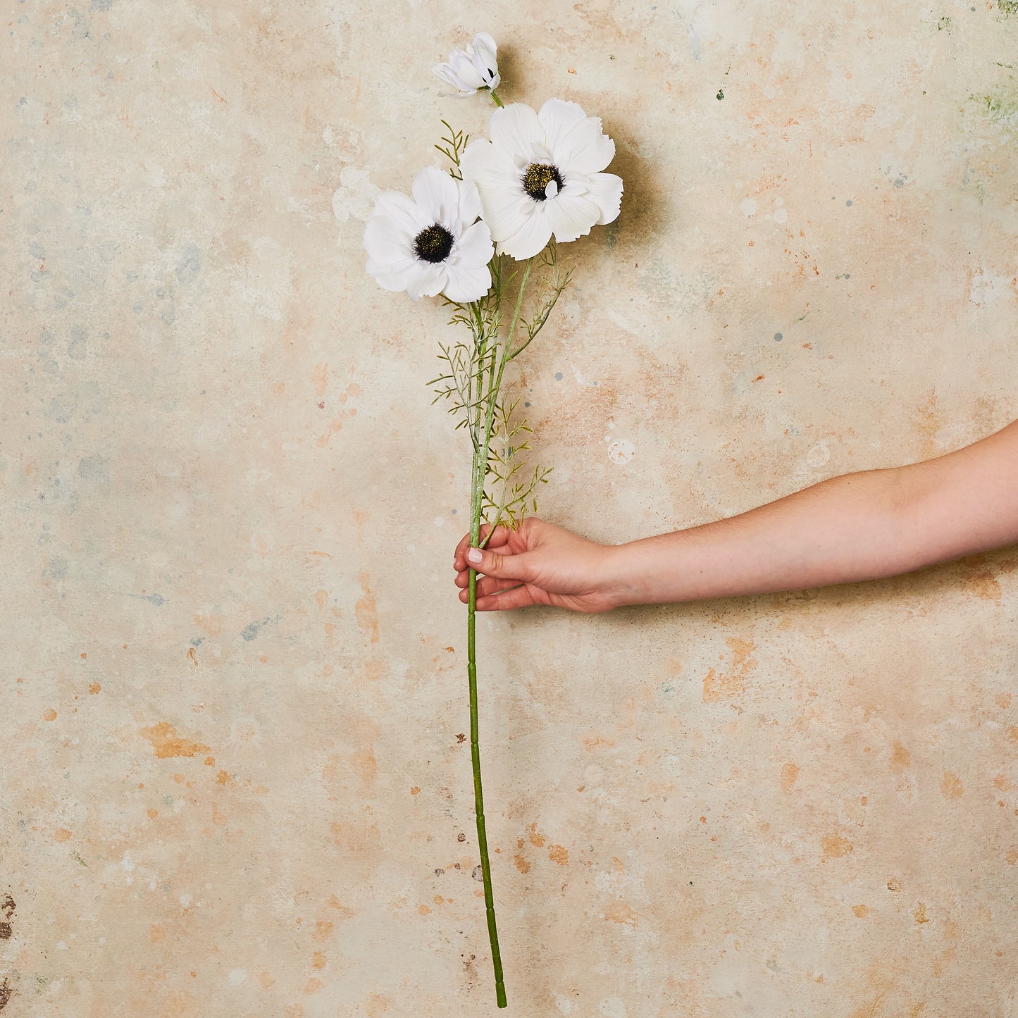 Coreopsis Real Touch Flower Stem