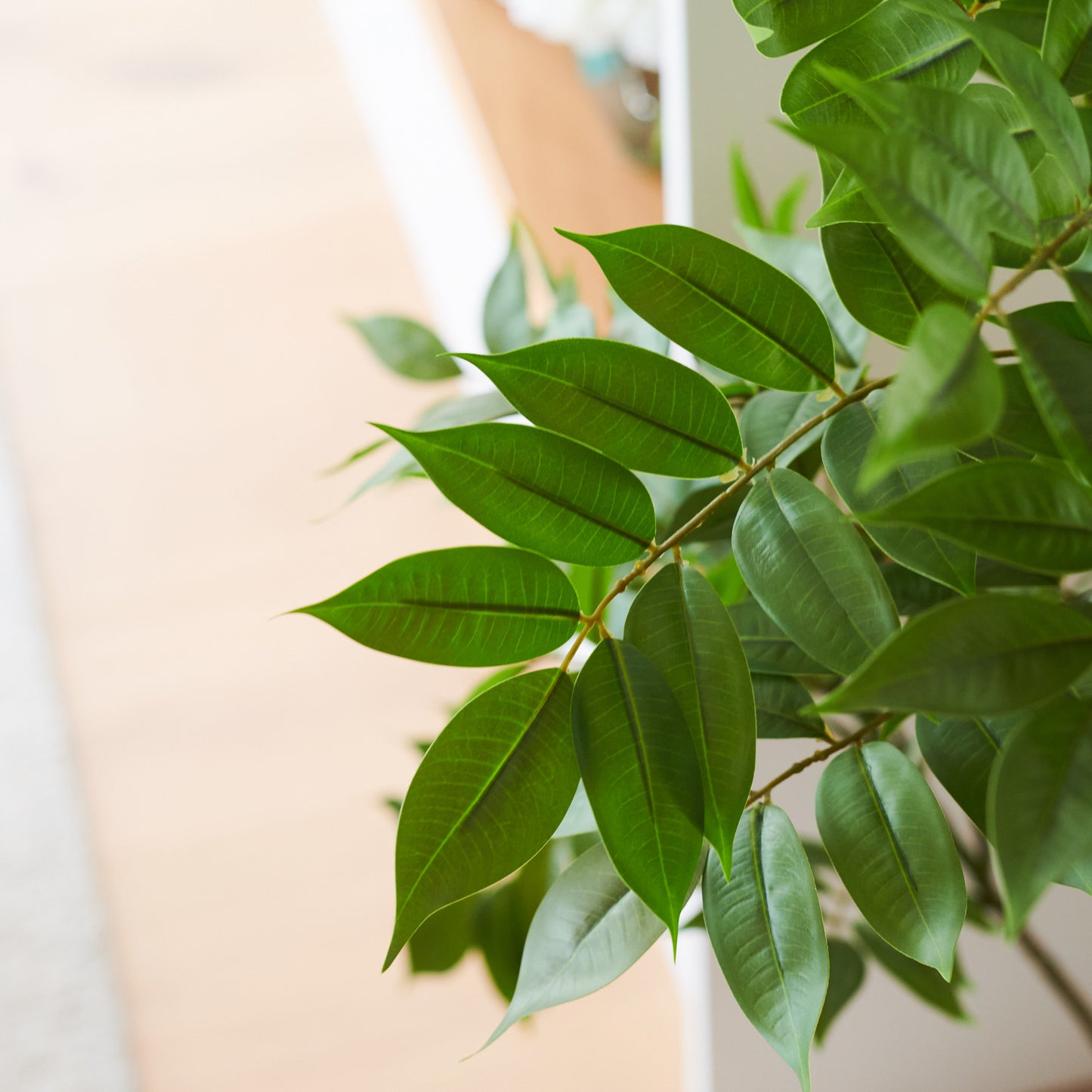 Akari Lacquer Tree with Pot