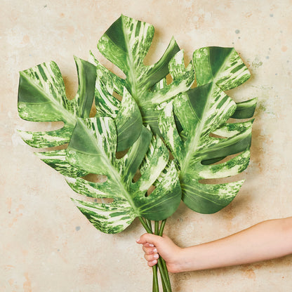 Monstera Leaf Real Touch Leaf Stem