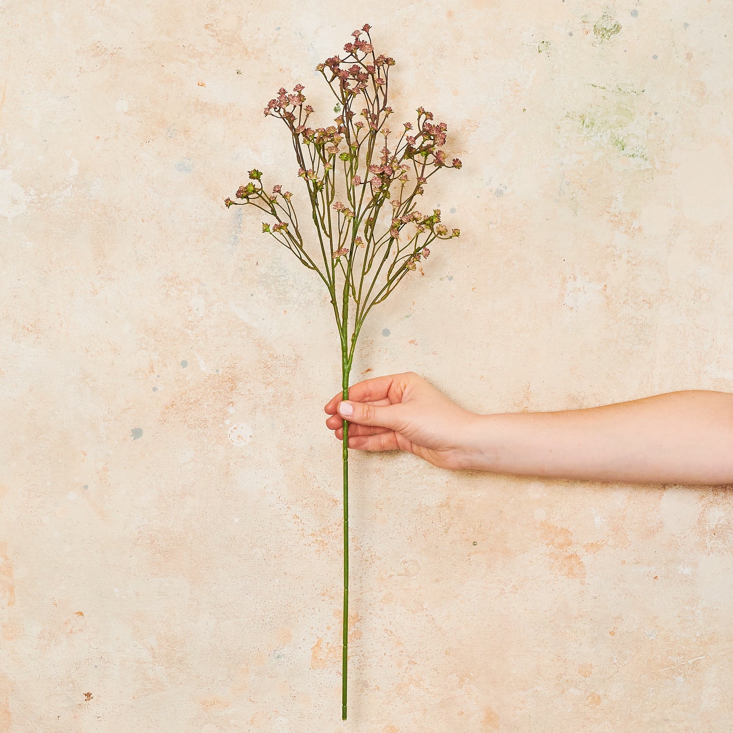 Babys Breath Real Touch